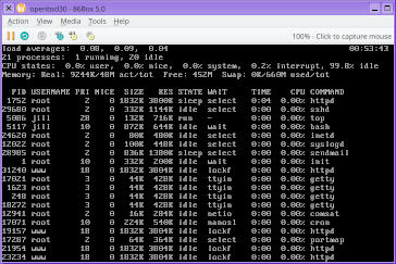 A screenshot of the VM which formerly hosted the page you are currently reading